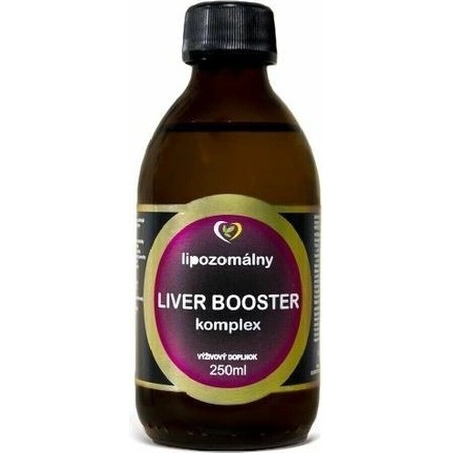 Healthy World Leverstimulator voor de lever 1×250 ml, voedingssupplement