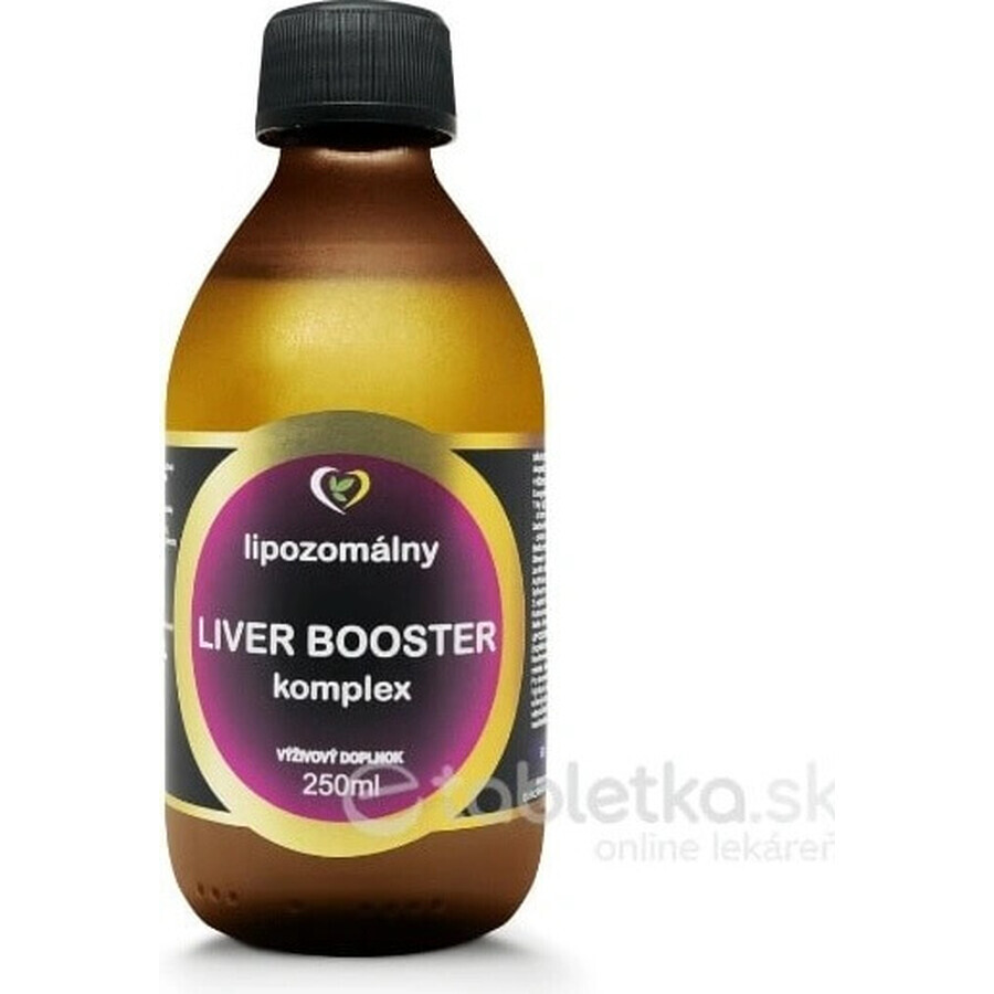 Healthy World Leverstimulator voor de lever 1×250 ml, voedingssupplement