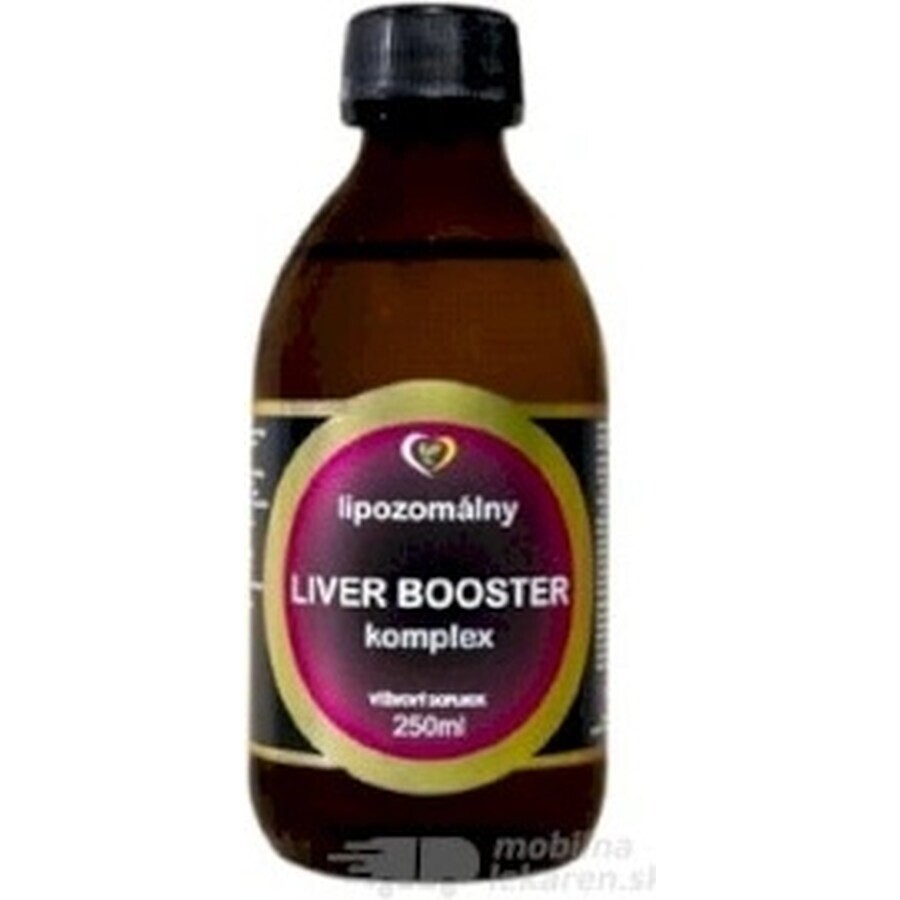 Healthy World Leverstimulator voor de lever 1×250 ml, voedingssupplement