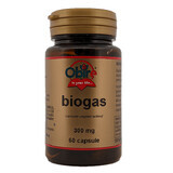 Biogas 250 mg, 60 capsules, Obire