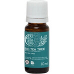 Tierra Verde Tea Tree biologische etherische olie 30ml 1×1 st, olie