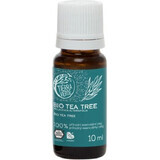 Tierra Verde Tea Tree biologische etherische olie 30ml 1×1 st, olie