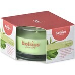 Bolsius Aromatic 2.0 Geurkaars met groene thee 1×1 st, 80 x 50 mm groot