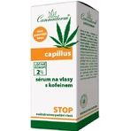 Cannaderm CAPILLUS łojotokowe serum do włosów 1×40 ml, łagodzi skórę głowy: ceny i cechy