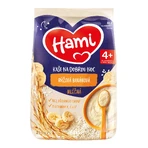HAMI Reisbrei mit Bananen 1×210 g, Reisbrei