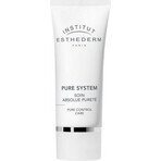 Institut Esthederm Institut Esthederm Pure Control Care Cream 50 ml 1×50 ml 1×50 ml, crema per pelli grasse