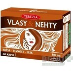 TEREZIA HAIR & NECHTY 1×60 cps, food supplement