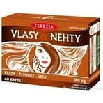 TEREZIA HAIR & NECHTY 1×60 cps, food supplement