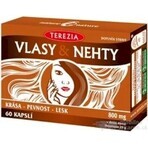 TEREZIA HAIR & NECHTY 1×60 cps, food supplement