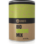 GYMBEAM VANAVITA BIO GREENS MIX 1×300g, groene superfoodmix