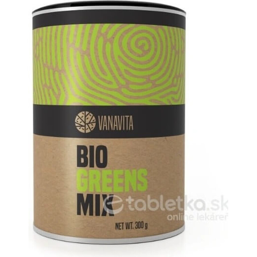 GYMBEAM VANAVITA BIO GREENS MIX 1×300g, groene superfoodmix