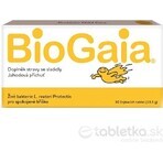 BioGaia ProTectis 1×10 stuks, kauwtabletten - aardbeiensmaak