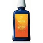 WELEDA Sanddorn Vitalisierendes Öl 1×100 ml, Öl