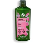 Yves Rocher Shampoo for dyed hair 1×300 ml shampoo: ceny i cechy