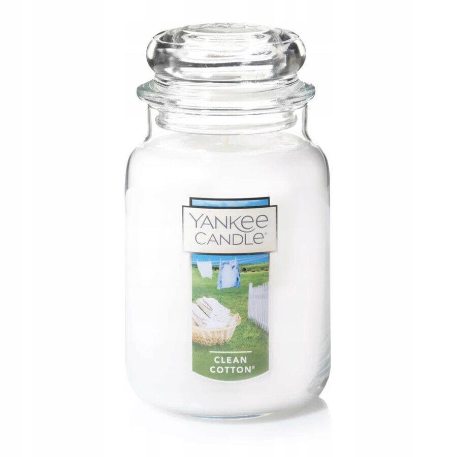 Yankee Candle - Grote geschenkset 1×567g schoon katoenen kaars met Sharpie veren, geurkaars