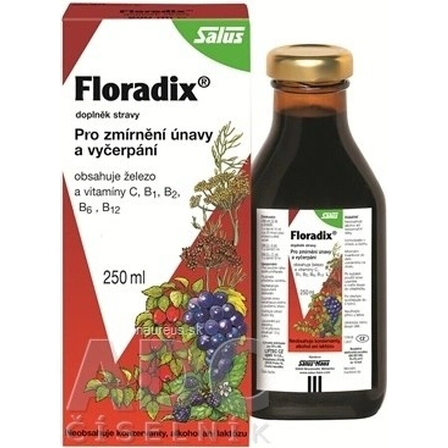 SALUS Floradix Gallexier 1×250 ml, formă lichidă