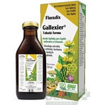 SALUS Floradix Gallexier 1×250 ml, formă lichidă