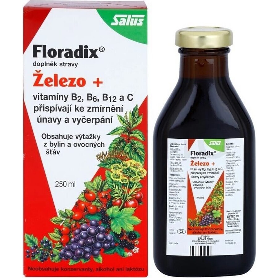 SALUS Floradix Gallexier 1×250 ml, formă lichidă