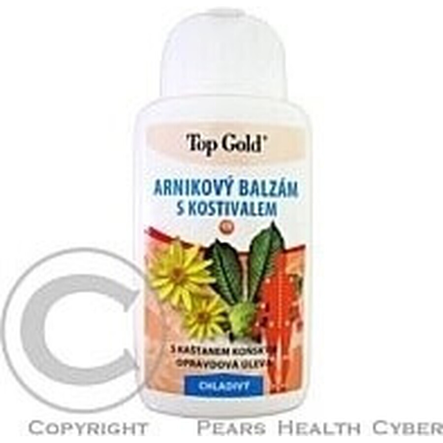 TOP GOLD Arnika mit Knochenmarkbalsam 1×200 ml, Balsam