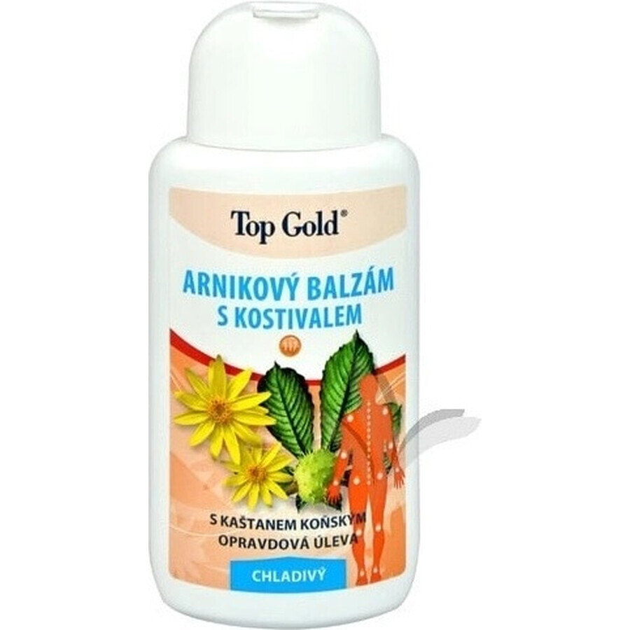 TOP GOLD Arnika mit Knochenmarkbalsam 1×200 ml, Balsam