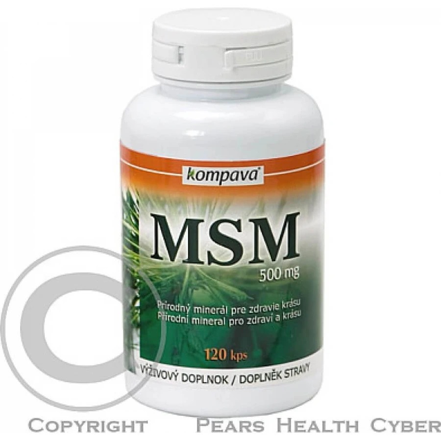 kompava MSM 500 mg 1×120 cps, food supplement