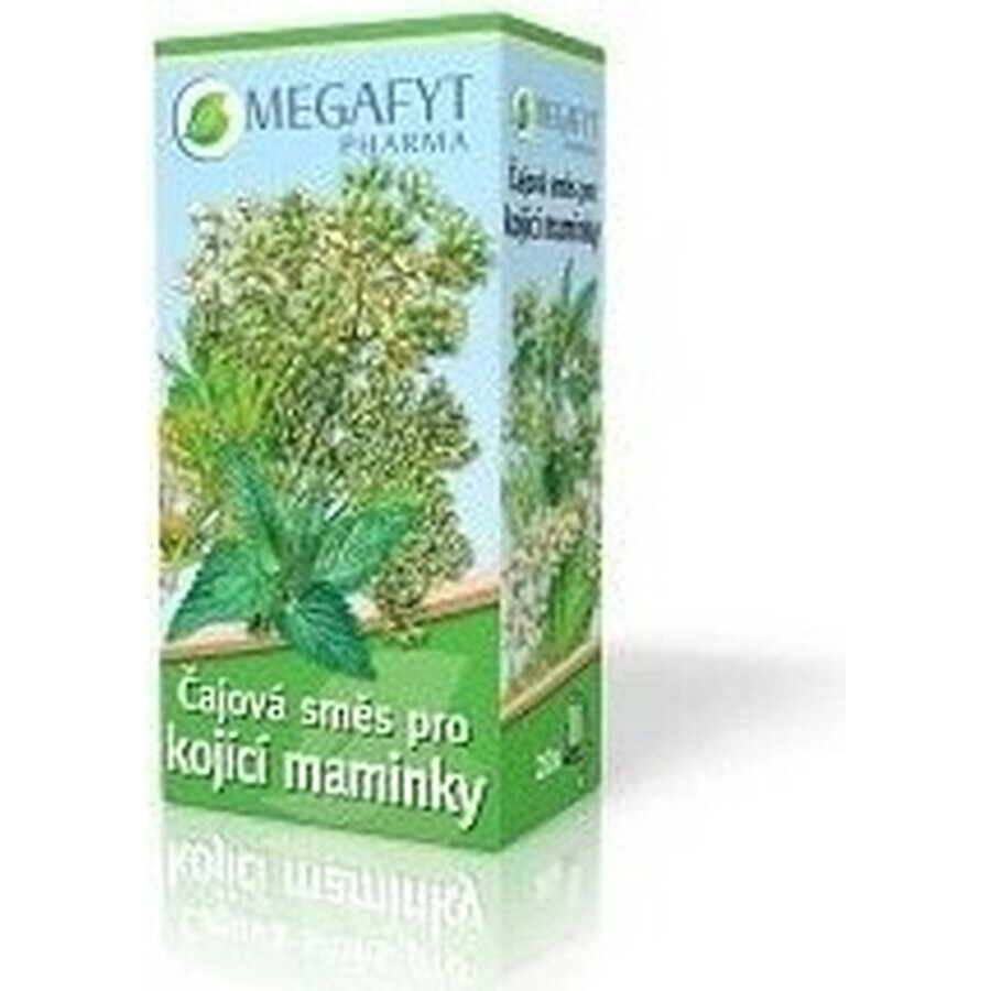 MEGAFYT Kruidenthee voor borstvoeding. 1×30 g (20×1,5 g), meidoornthee