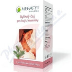 MEGAFYT Kruidenthee voor borstvoeding. 1×30 g (20×1,5 g), meidoornthee