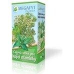 MEGAFYT Kruidenthee voor borstvoeding. 1×30 g (20×1,5 g), meidoornthee