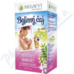 MEGAFYT Kruidenthee voor borstvoeding. 1×30 g (20×1,5 g), meidoornthee