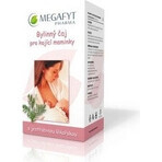 MEGAFYT Kruidenthee voor borstvoeding. 1×30 g (20×1,5 g), meidoornthee