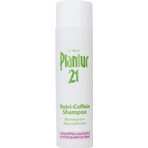 Plantur 39 Shampoo mit Phyto-Coffein für farbbehandeltes Haar 1×250 ml, Shampoo mit Coffein