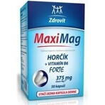 ZDROVIT MAXI MAG HORCIK+B6 FORTE 1×50 cps, integratore alimentare