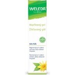 WELEDA Gel all'ortica 1×25 g