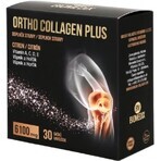 ORTHO COLLAGEN PLUS zakjes 1x30 stuks