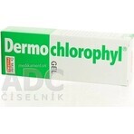 Dr. Müller DERMO CHLOROPHYL GEL 1×50 ml, skin gel