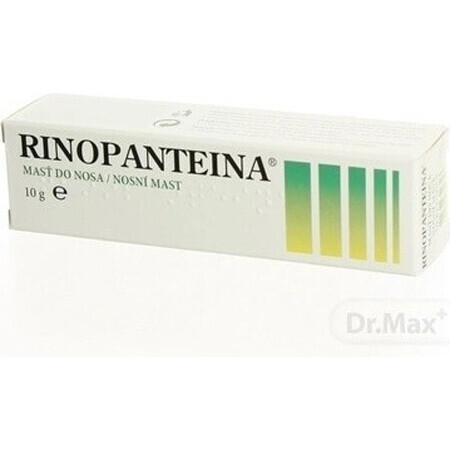 RINOPANTEIN Unguento nasale 1×10 g, unguento