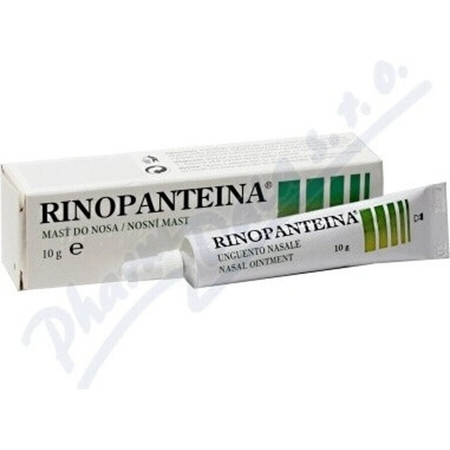 RINOPANTEIN Unguento nasale 1×10 g, unguento