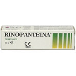 RINOPANTEIN Unguento nasale 1×10 g, unguento