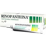 RINOPANTEIN Unguento nasale 1×10 g, unguento