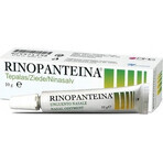 RINOPANTEIN Unguento nasale 1×10 g, unguento