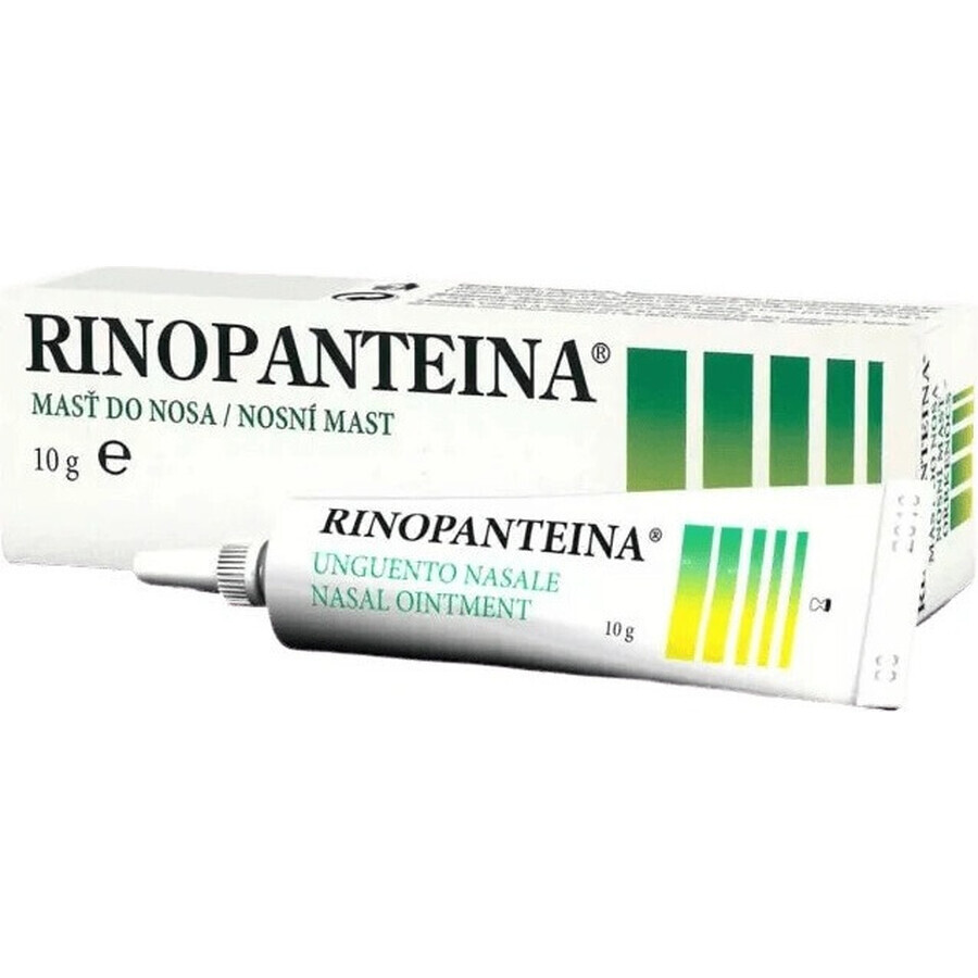 RINOPANTEIN Unguento nasale 1×10 g, unguento