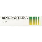 RINOPANTEIN Unguento nasale 1×10 g, unguento