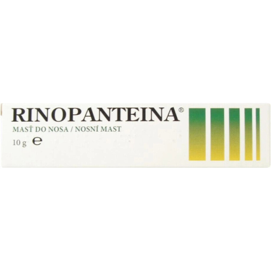 RINOPANTEIN Unguento nasale 1×10 g, unguento