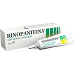 RINOPANTEIN Unguento nasale 1×10 g, unguento