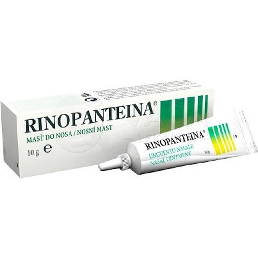 RINOPANTEIN Unguento nasale 1×10 g, unguento