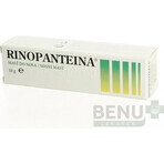 RINOPANTEIN Unguento nasale 1×10 g, unguento