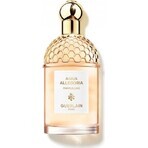 Guerlain Aqua Allegoria Pamplelune Aqua Allegoria Pamplelune Edt 125ml 1×125 ml, eau de toilette