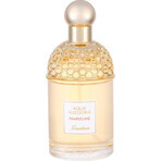 Guerlain Aqua Allegoria Pamplelune Aqua Allegoria Pamplelune Edt 125ml 1×125 ml, eau de toilette