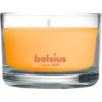 Bolsius Aromatic 2.0 Mango Scented Candle Bottle 1×1 pc, size 80 x 50 mm