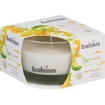 Bolsius Aromatic 2.0 Mango Scented Candle Bottle 1×1 pc, size 80 x 50 mm